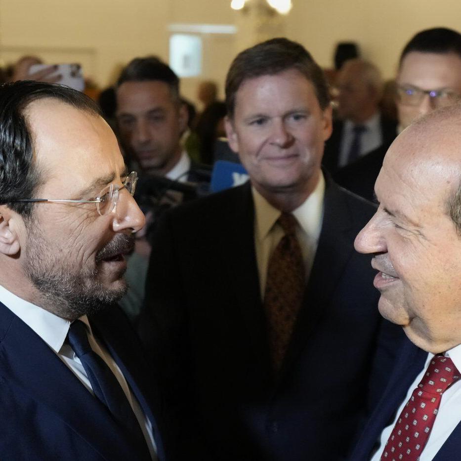 Turkish Cypriot group fears that local leader is Ankara's man who wants to partition Cyprus